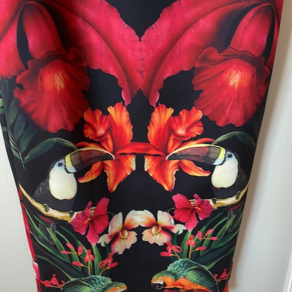 Ted Baker toucan dress - Picture 3 of 9